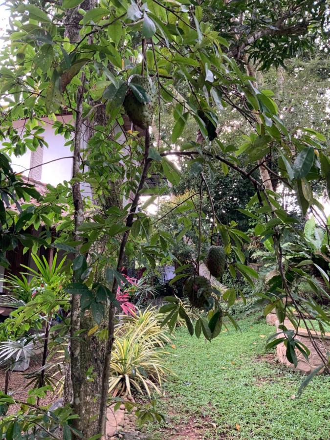 Lali Villa & Fruit Garden Galle Dış mekan fotoğraf