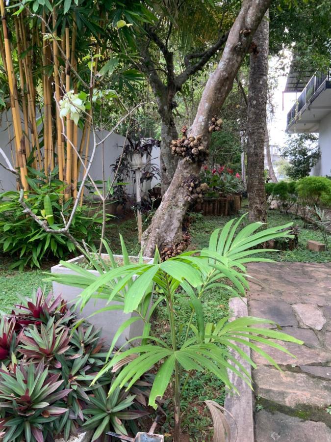 Lali Villa & Fruit Garden Galle Dış mekan fotoğraf