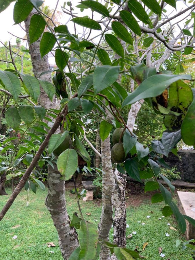 Lali Villa & Fruit Garden Galle Dış mekan fotoğraf