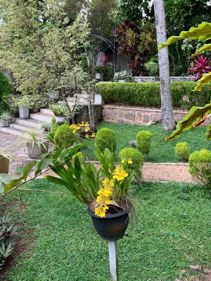 Lali Villa & Fruit Garden Galle Dış mekan fotoğraf