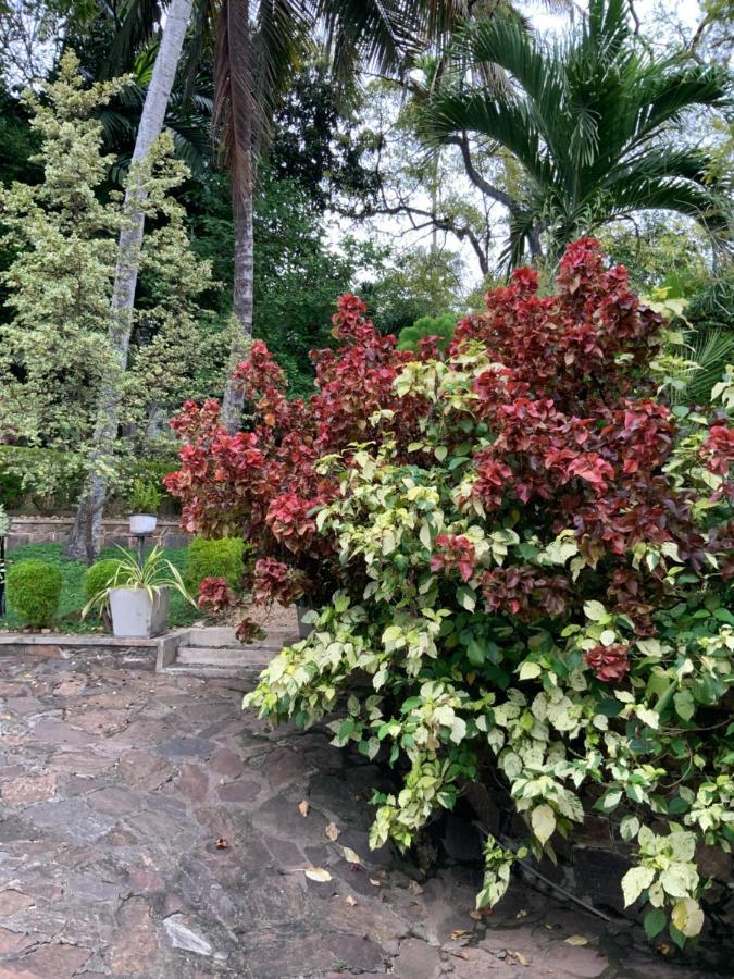 Lali Villa & Fruit Garden Galle Dış mekan fotoğraf