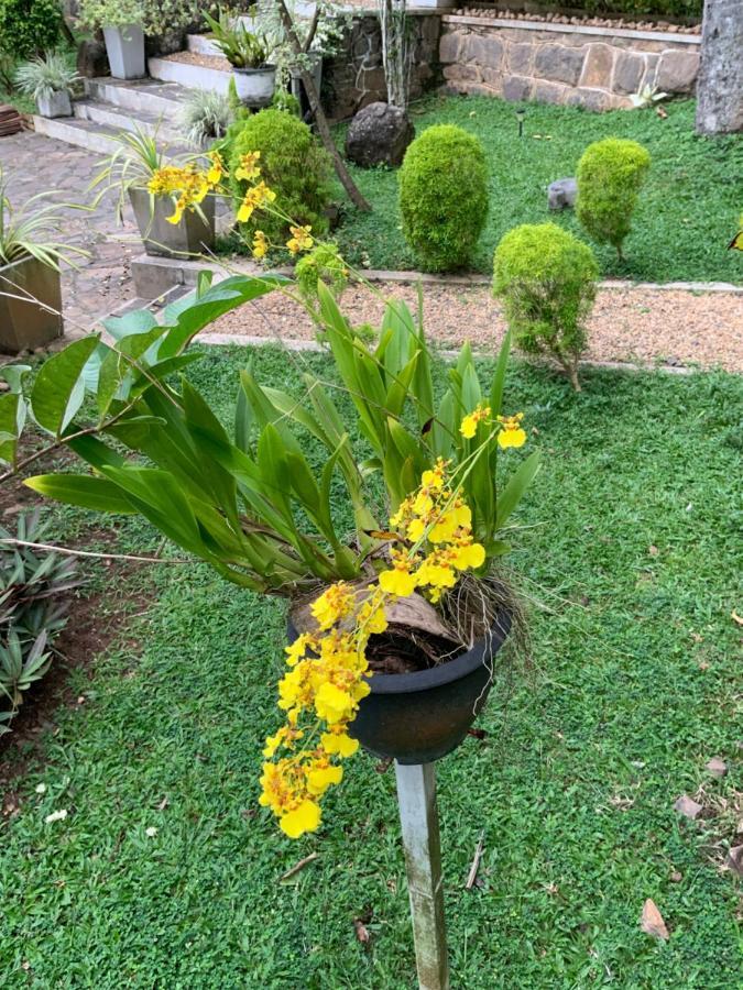 Lali Villa & Fruit Garden Galle Dış mekan fotoğraf