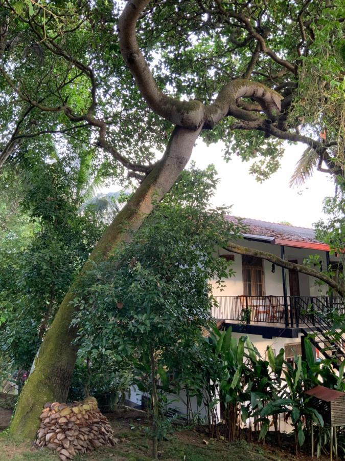 Lali Villa & Fruit Garden Galle Dış mekan fotoğraf