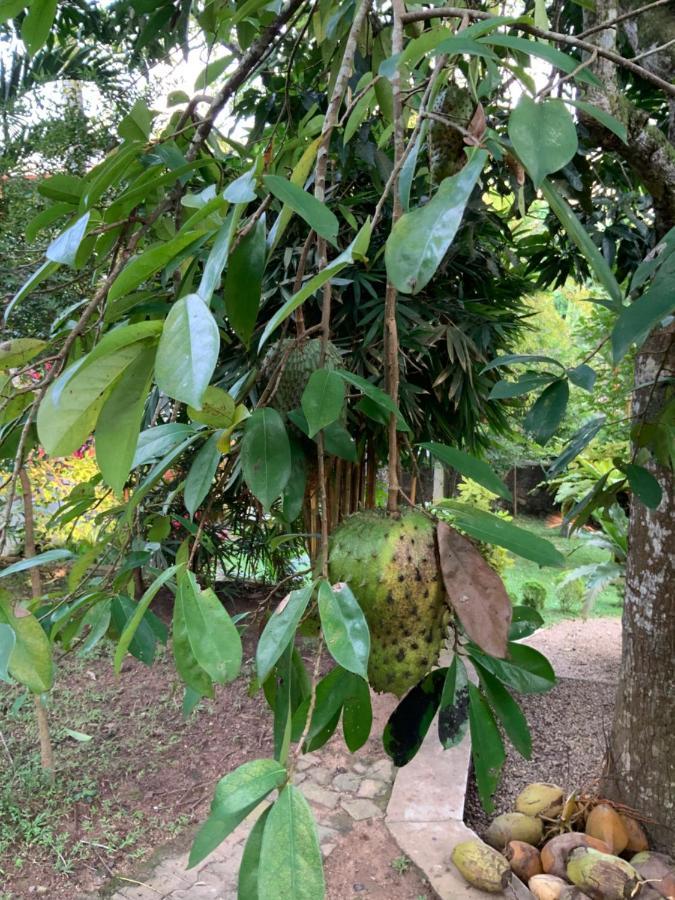 Lali Villa & Fruit Garden Galle Dış mekan fotoğraf