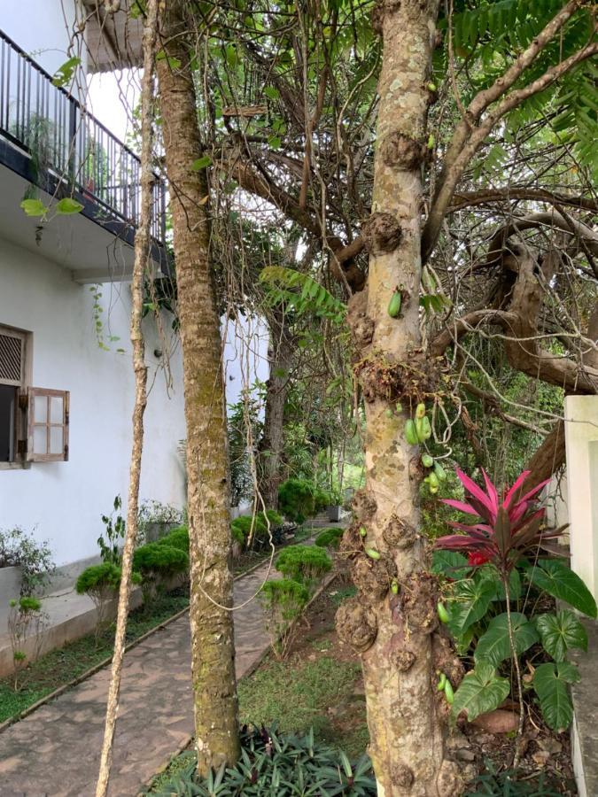 Lali Villa & Fruit Garden Galle Dış mekan fotoğraf