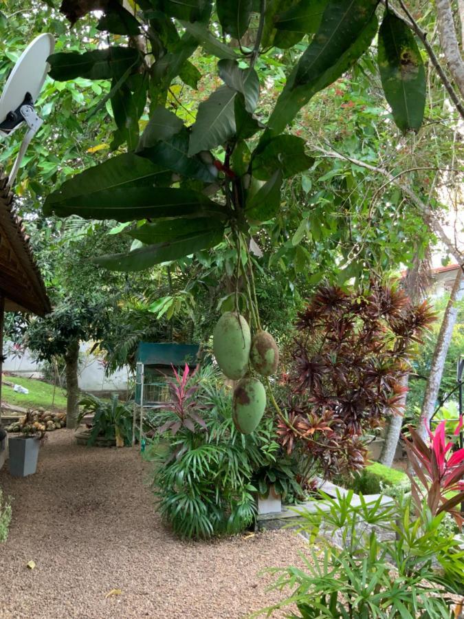 Lali Villa & Fruit Garden Galle Dış mekan fotoğraf
